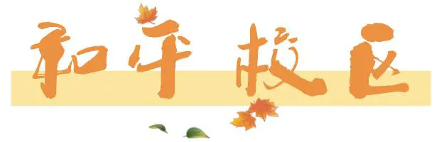 为什么篮球传奇的训练和发展理念值得借鉴_1